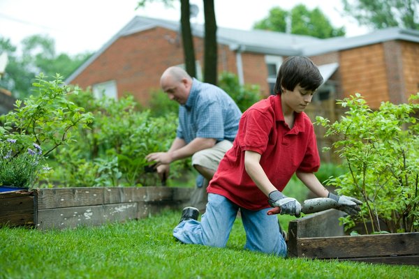 Comment organiser un potager communautaire en milieux urbain dense?